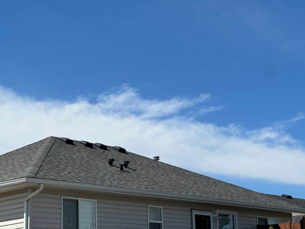 Best Asphalt Shingle Roofing  in Newburyport, MA